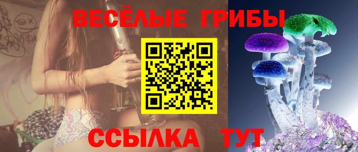 Галлюциногенные грибы мухоморы Пушкино