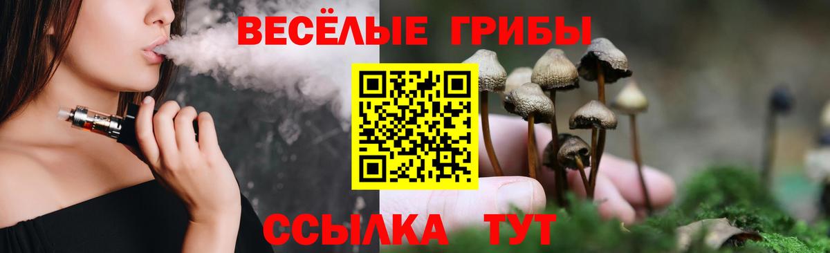Галлюциногенные грибы Psilocybe  Вход с VPN  Пушкино 