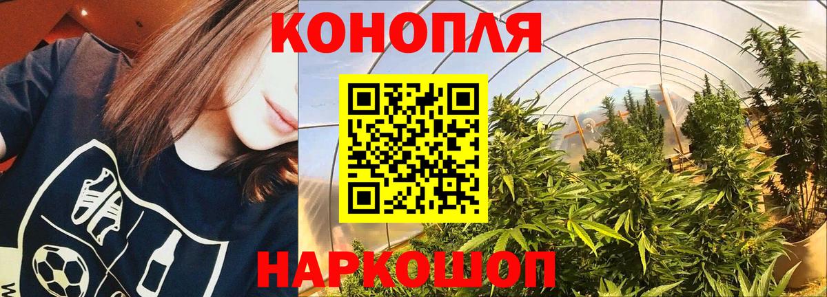 Канабис индика Пушкино